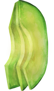 Sliced ​​Avocado Watercolor