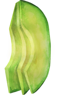 Sliced ​​Avocado Watercolor