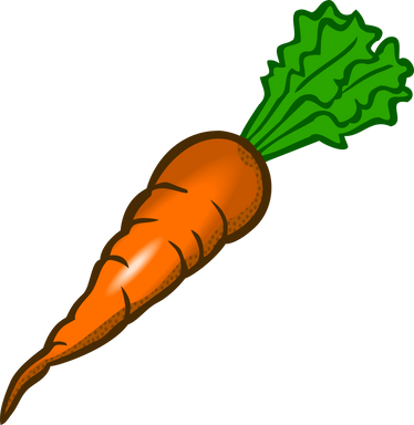 Illustration of a Carrot