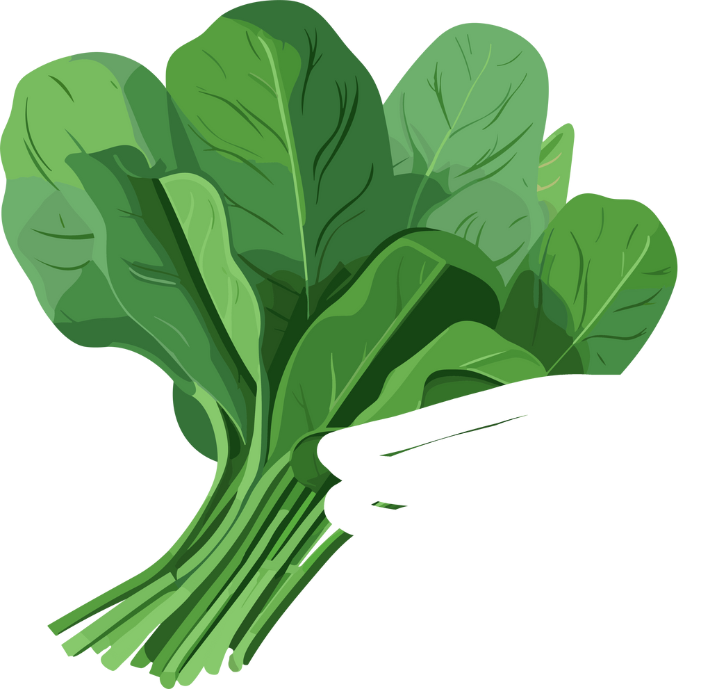 Spinach Vector