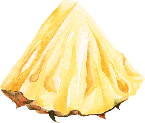 Pineapple Slice Illustration