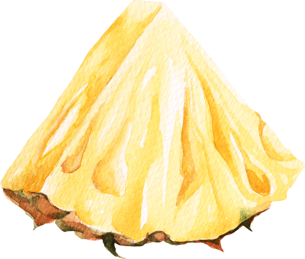 Pineapple Slice Illustration